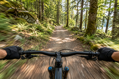 First-person mountain bike ride through woods