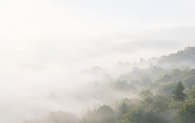 A misty woodland ridge in the fictional valley